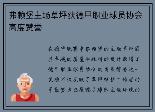 弗赖堡主场草坪获德甲职业球员协会高度赞誉