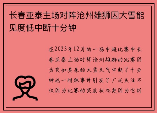 长春亚泰主场对阵沧州雄狮因大雪能见度低中断十分钟